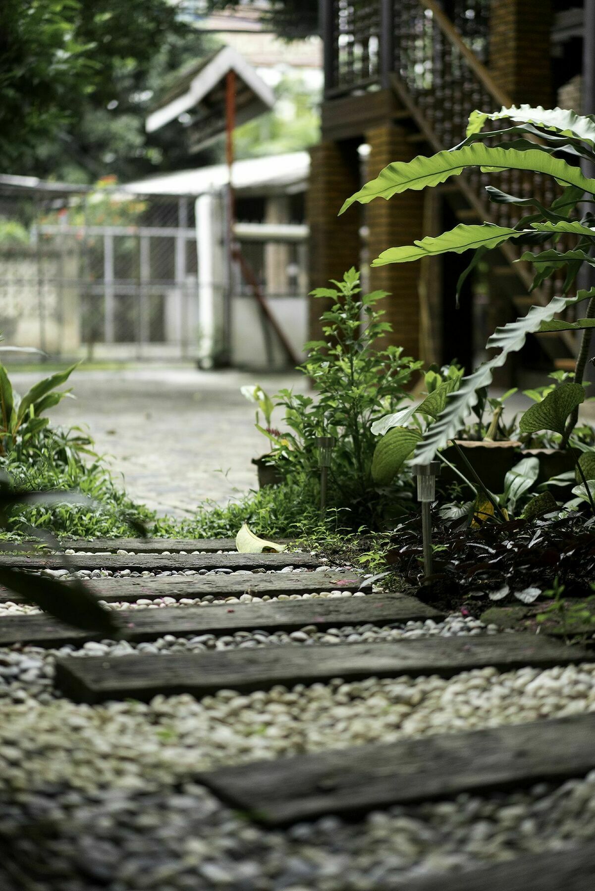 Sarah Guest House Chiang Mai Eksteriør billede
